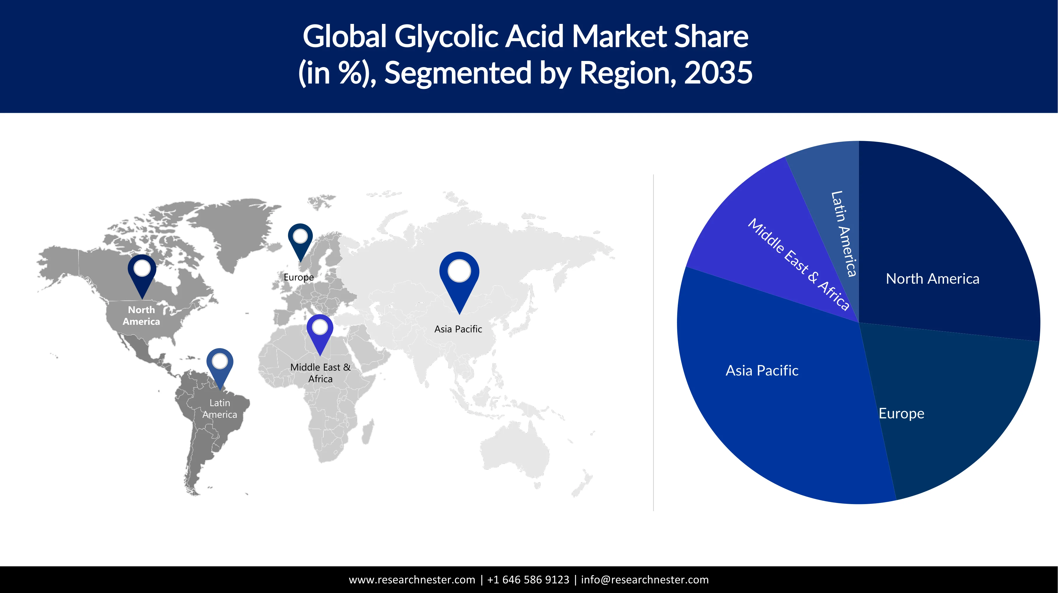Glycolic Acid Market Share